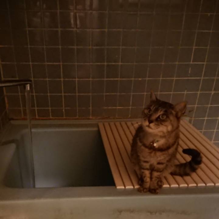 A205d9bf 6f24 4edb 8588 0ee3ef98c08e 1574327870450