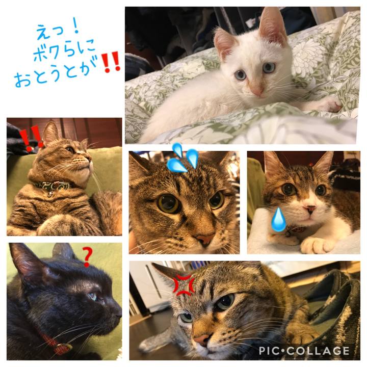 A205e0de 8d46 4012 b89c b34ce586a645 1573884036818