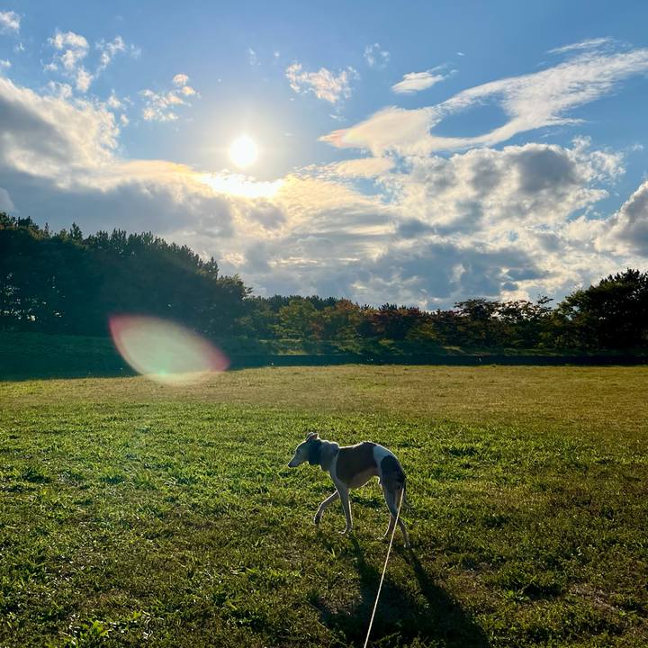 A2061a22 83cd 4888 ae82 44631e0ff8c0 1761466676324