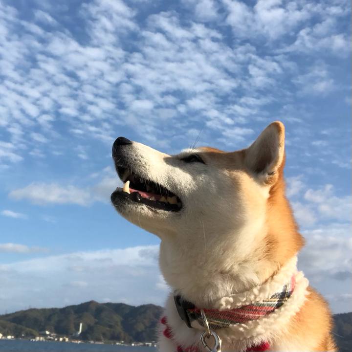 A206702a b077 468f a092 a916df1c365e 1669017796363