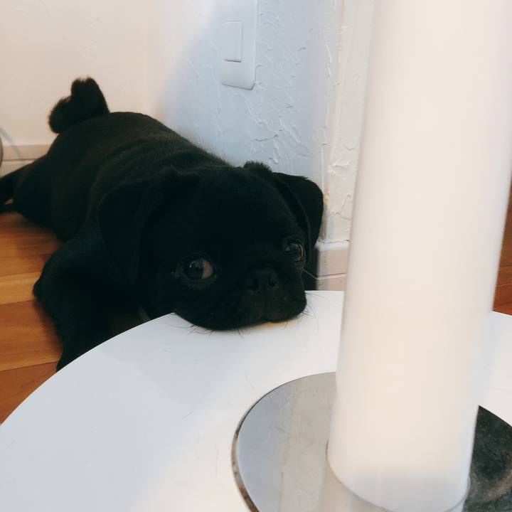 A206aa37 9552 4280 a668 e20afabf5aa7 1593302929005