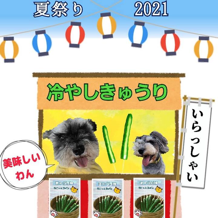 A206b373 881a 433e bd9c 0673e444c955 1630112484797