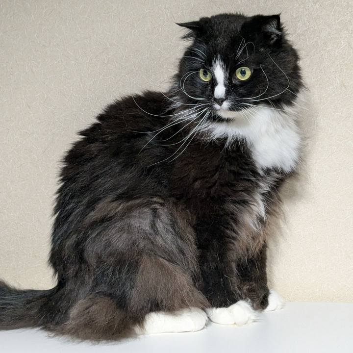 A206d8c8 41ba 4f4b 991a 3c9c0a82dab5 1745529605373