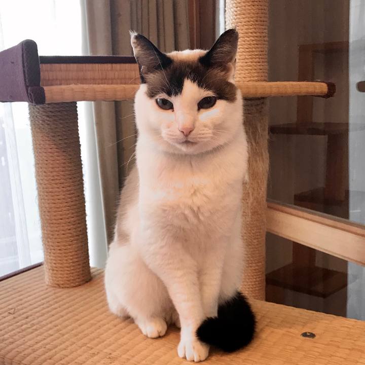 A206e2e0 4571 40f1 a2b2 c91023683dcc 1580976746759