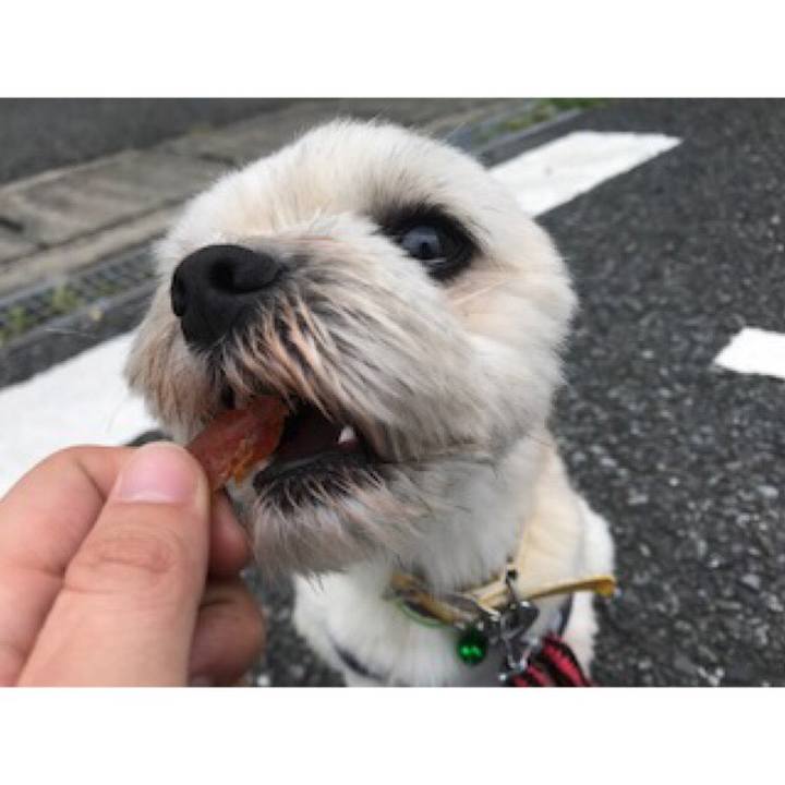 A2073062 776a 46cf b43d 9a73d1935836 1536229858221