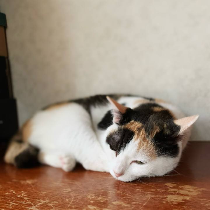 A207531f da3c 41cc a10d 2680d53fc9cd 1599099845223