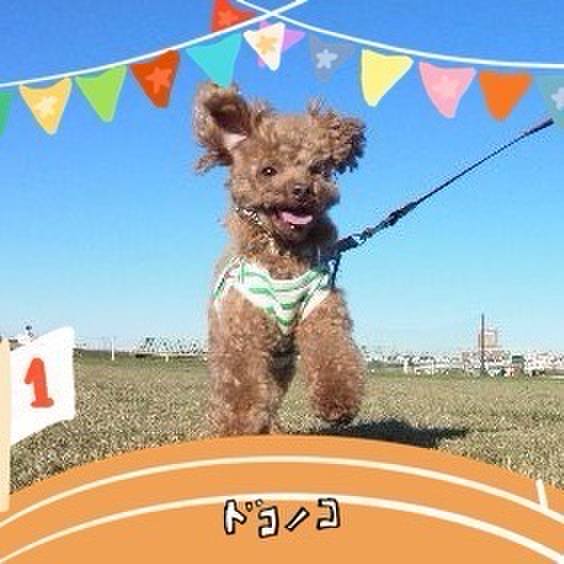 A2076347 1a7d 40f0 a282 c701403b81fb 1761387833824