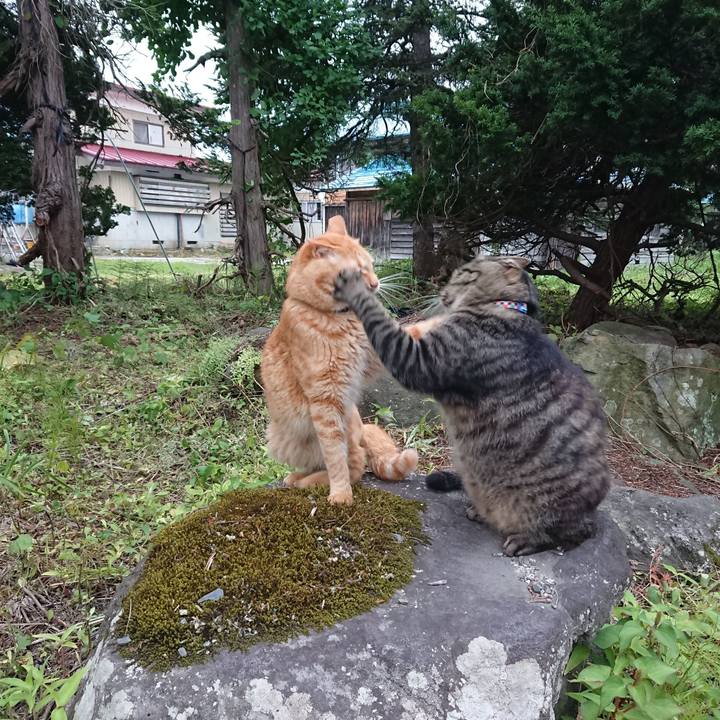 A20778d7 158e 4dbc ab4e c0001a656d86 1658135197172