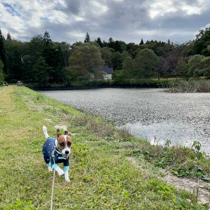 A207a2bd da72 4891 b59e dcdf34b69420 1634890280580