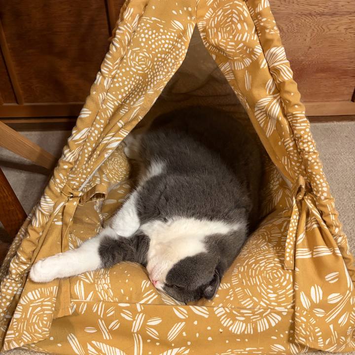 A207c7c1 a634 475d 8a26 db6acdebf031 1766386031790