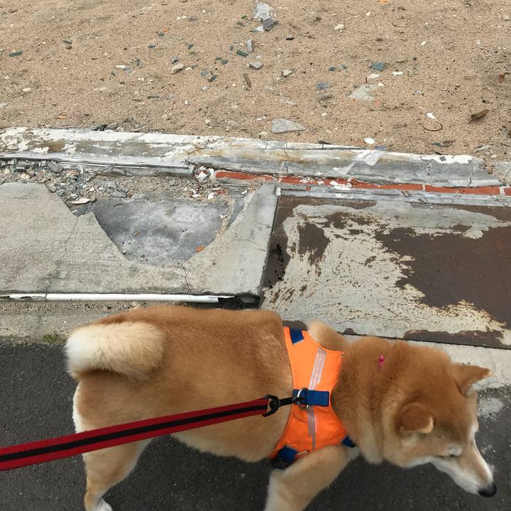 A207d201 7be6 40d6 b08d 5bf9c394df00 1527298471916