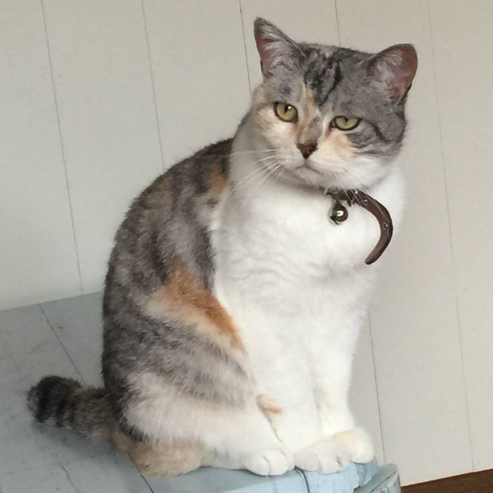 A207df1a ee4c 4d32 88ed b3c3dd6e694e 1559372592972