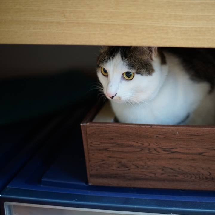 A207f300 88c0 4315 b078 632604ce776f 1515420347332