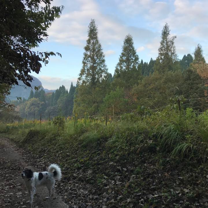 A20812a3 5295 4bbb bb8d 30928588614e 1509670307464