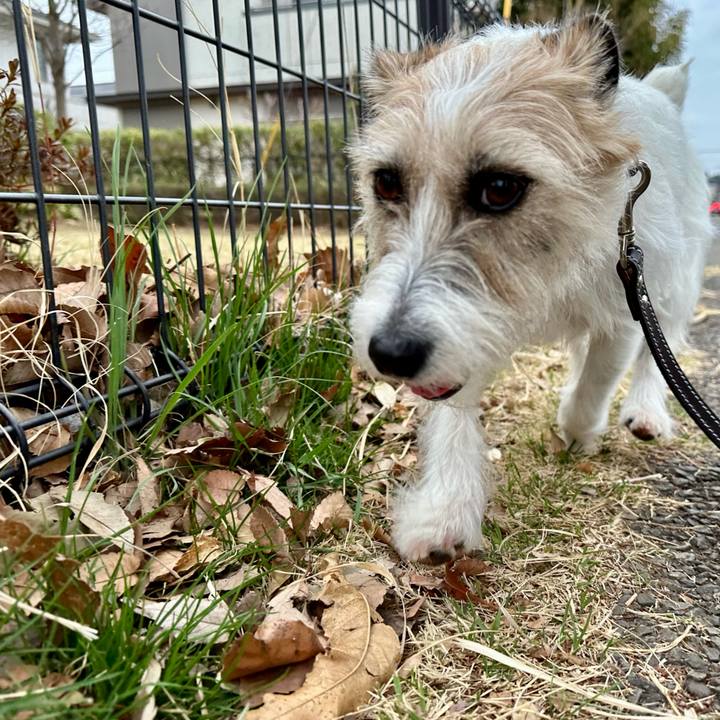 A2082e2f a536 4aed 92d2 29defb6913f5 1743041177166