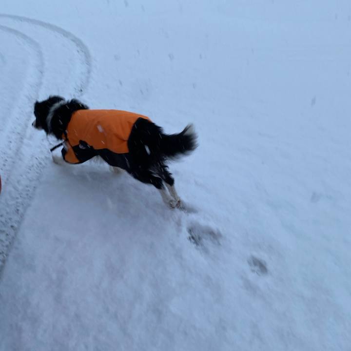 A2083f27 10fd 44af afe2 0cc7af637788 1610062944440