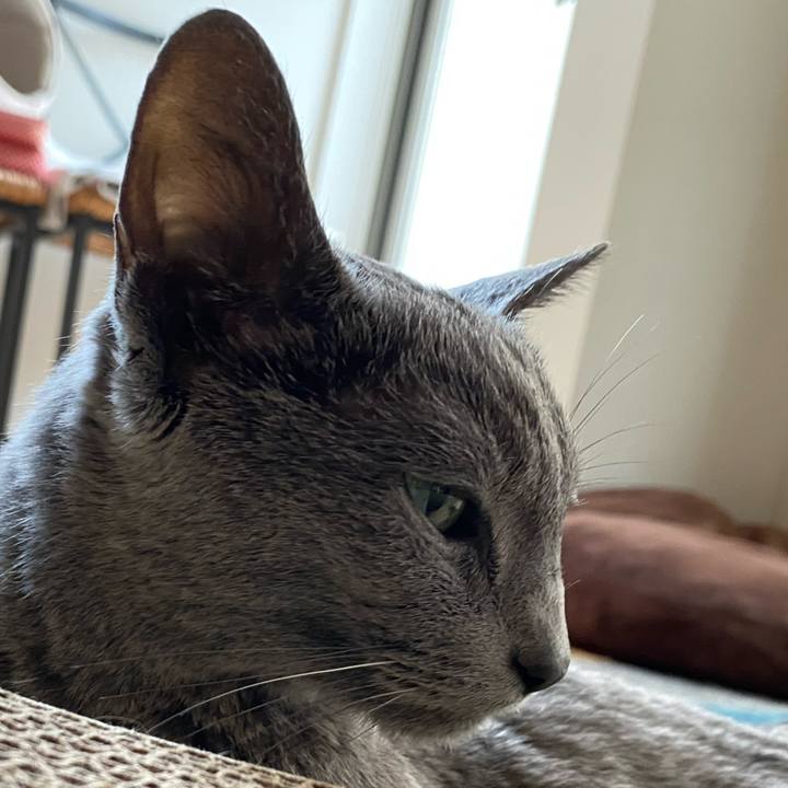 A2084a44 46d2 47df 9937 c759fdc54f3b 1627651514589