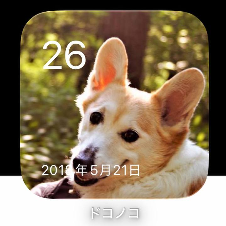 A208768d 80aa 4d7f 85d1 b5b0b4cc25b4 1779754466803