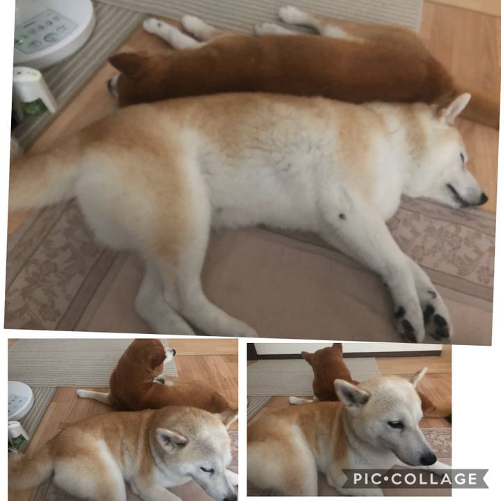 A2088564 93e8 471a 8f4e fd9e91818271 1564065288927