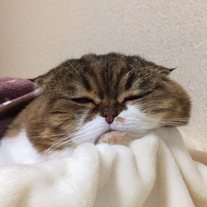 A208a030 fe50 413a 96b9 603a6c1715d8 1514118895517