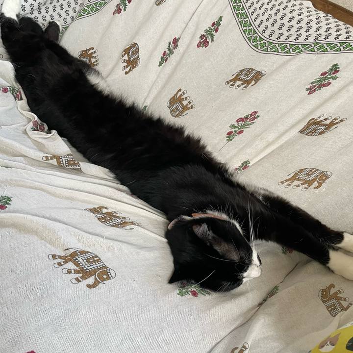 A20903ea ae9c 4dd4 ac1b 0c43118d9e9e 1715903677743