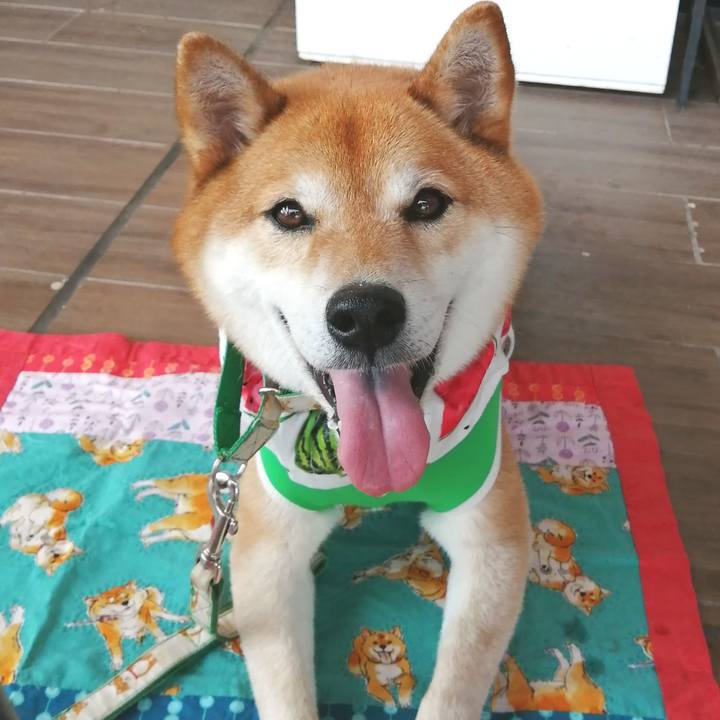 A209093d 79b7 4571 bc84 c3e3559cc103 1656821280901