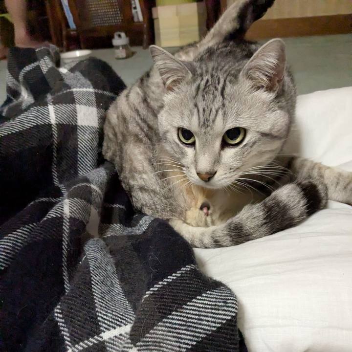 A209417b 7eb9 4b96 9d65 73b3c2b9c949 1771753750309