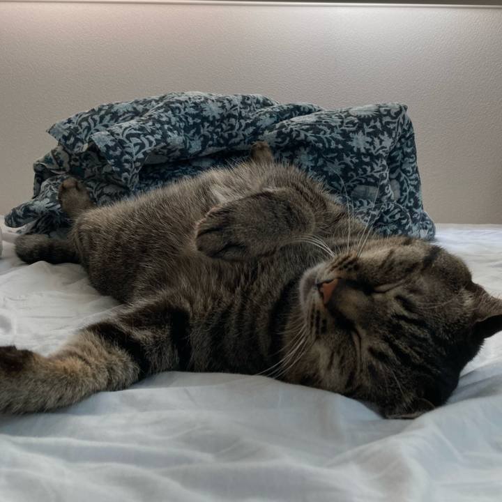 A20959a6 5acc 49dd 8a01 a22ff136a6e5 1622811198811