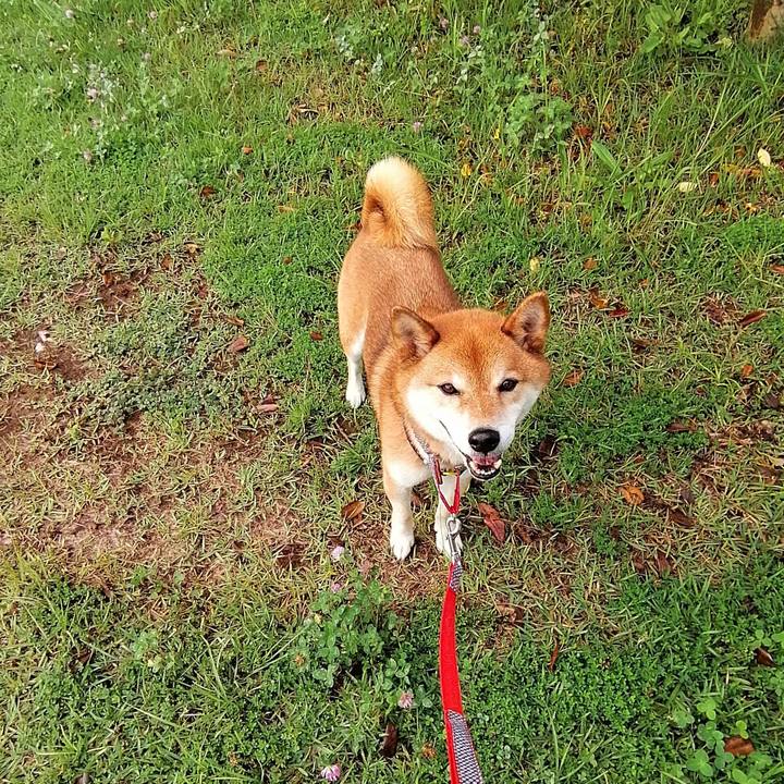 A20969f1 e3b3 441f b193 45cbe9b2cec4 1625486448466