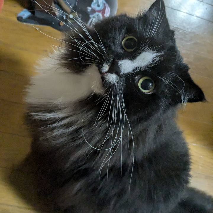 A2098667 c88c 4d3d a4c4 f4d508c9ca48 1727902709802