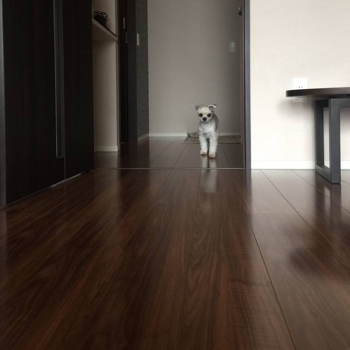 A209e9e3 bf2e 4bab 94ee a780919f4cca 1538288852554