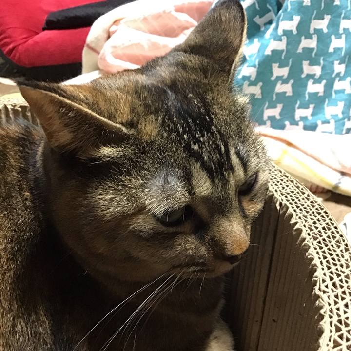 A20a133d 3f1b 4596 a744 e0e4aa3b5dff 1761823417248