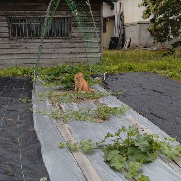 A20a207c 68dc 4884 b048 ac9e9a3761fe 1687385691137