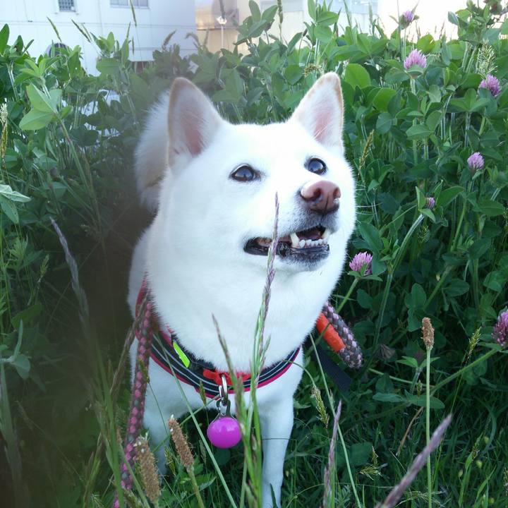 A20a5900 7fa8 48d4 813e 8dd56049719c 1557913927191