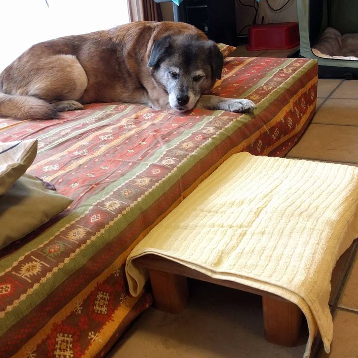 A20a732a 3555 44eb 8c11 8883807f6510 1551140145484