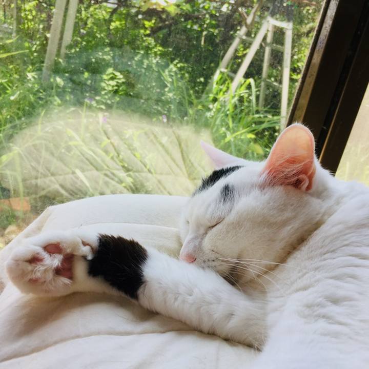 A20a7a22 b137 4adb b884 20fbd39c0e57 1558299319558