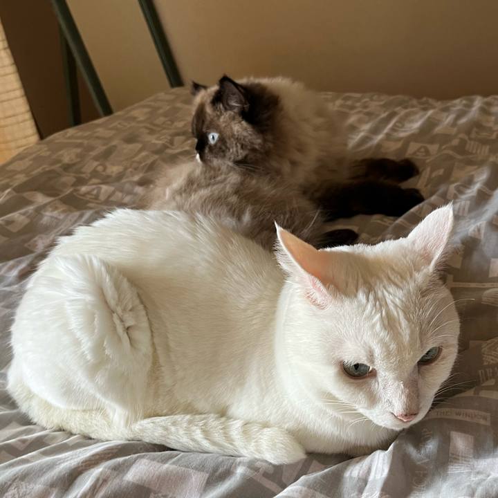 A20a92ff ba27 49d9 9145 e8a0e43e5bfc 1664259912467