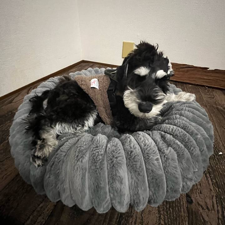 A20aa8b3 bea1 4ec4 9ef8 58eed5fbd13f 1766304501749