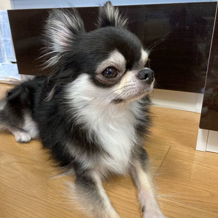 A20aba78 e736 42a5 a5b5 654544d94248 1662867503378