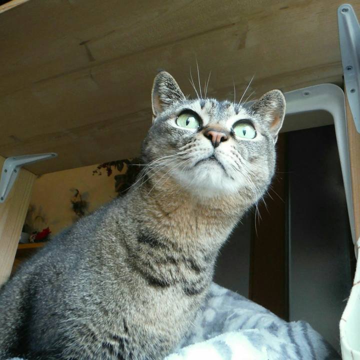 A20afab4 350e 402c ae86 af411706429f 1554771829394