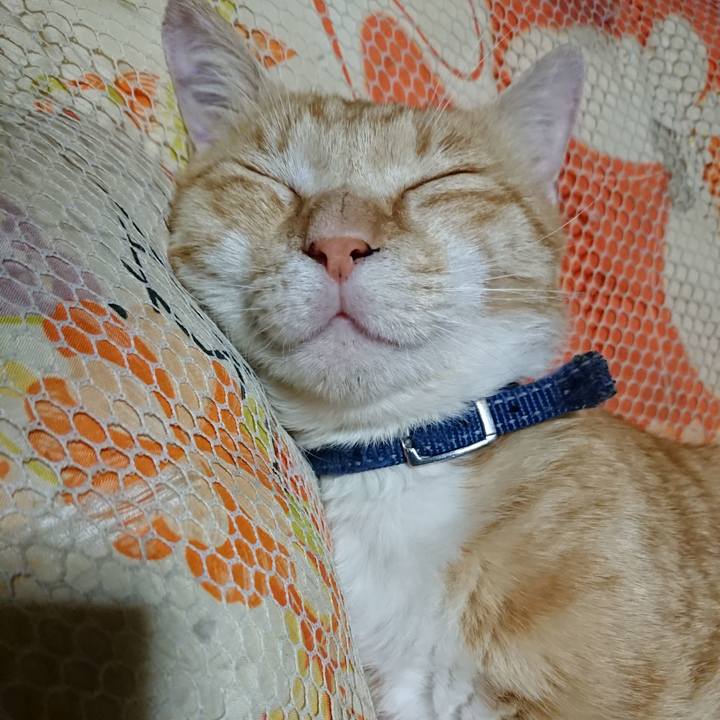 A20b189c df15 4079 9129 e8ad4f486a0b 1561468824171