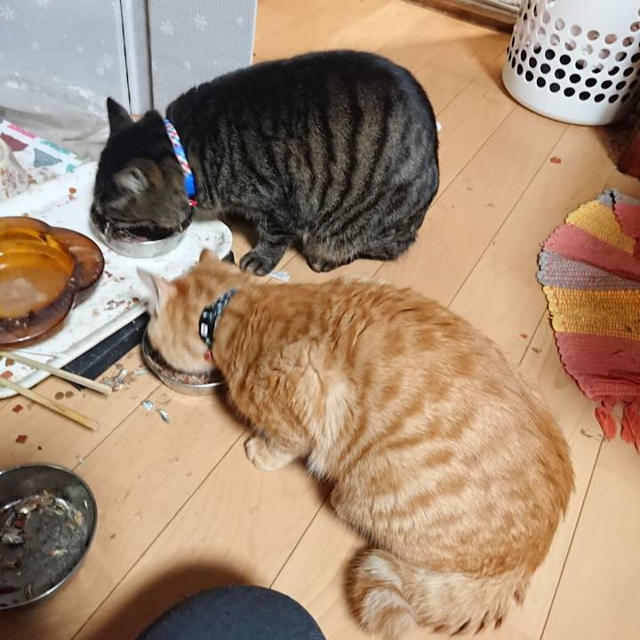 A20b1d92 10a4 48bb 8f73 aa2ee3977063 1640863620818