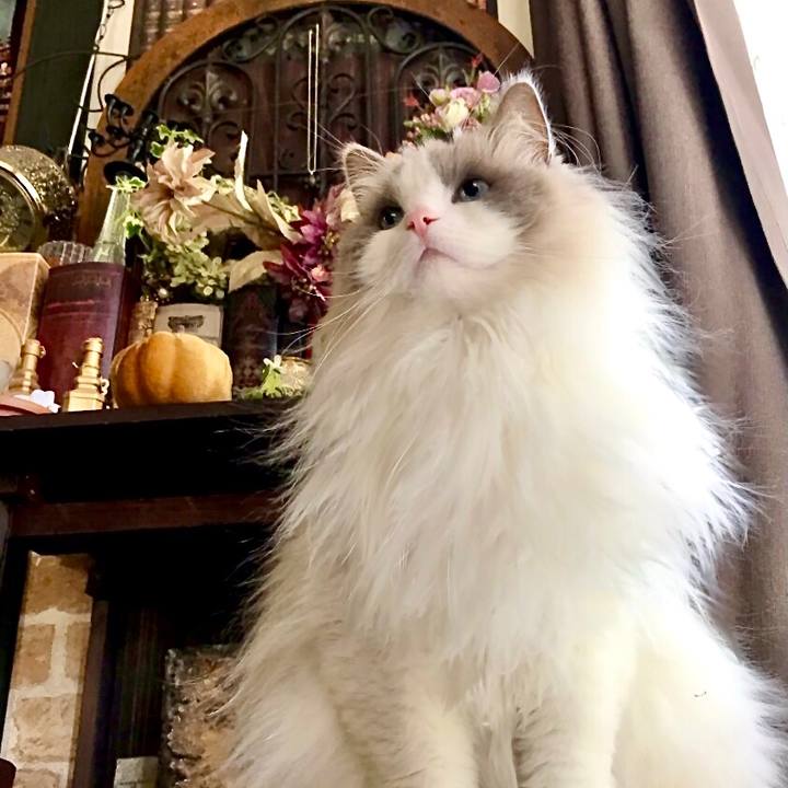 A20b6706 6b24 48dc 9805 8d86d0826d13 1616584443790