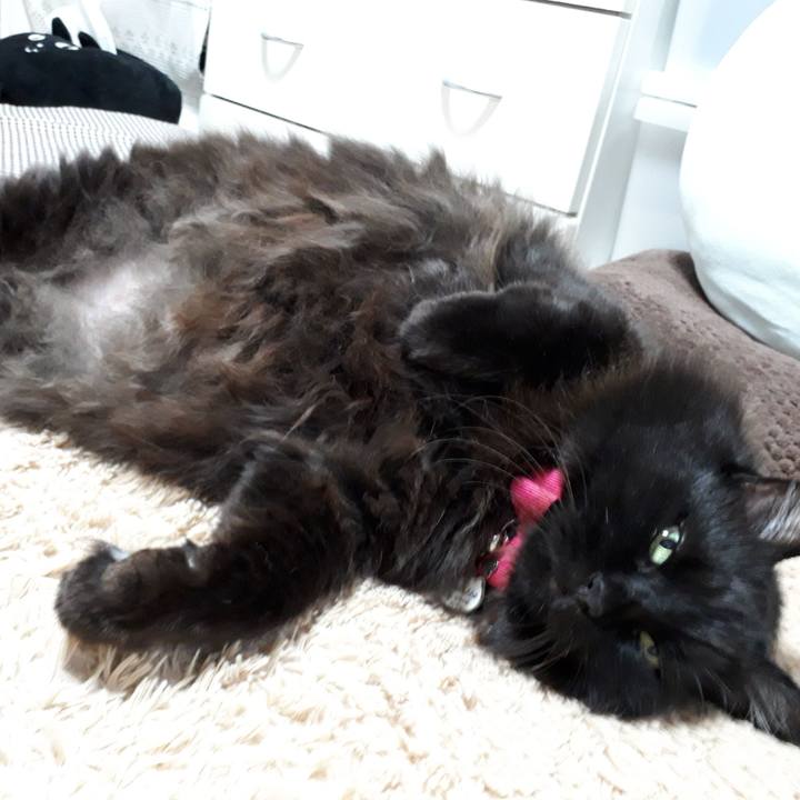 A20ba581 4898 411a 893f 3a4d5a35027a 1542448715198