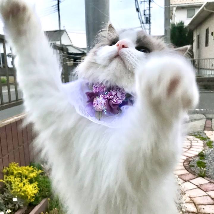 A20ba62d 7d18 42a3 9f3c 72140c7148cc 1621198171602