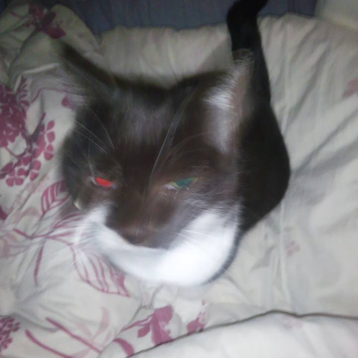 A20baa88 4dc7 407d 9d19 41c855178c62 1524105275390