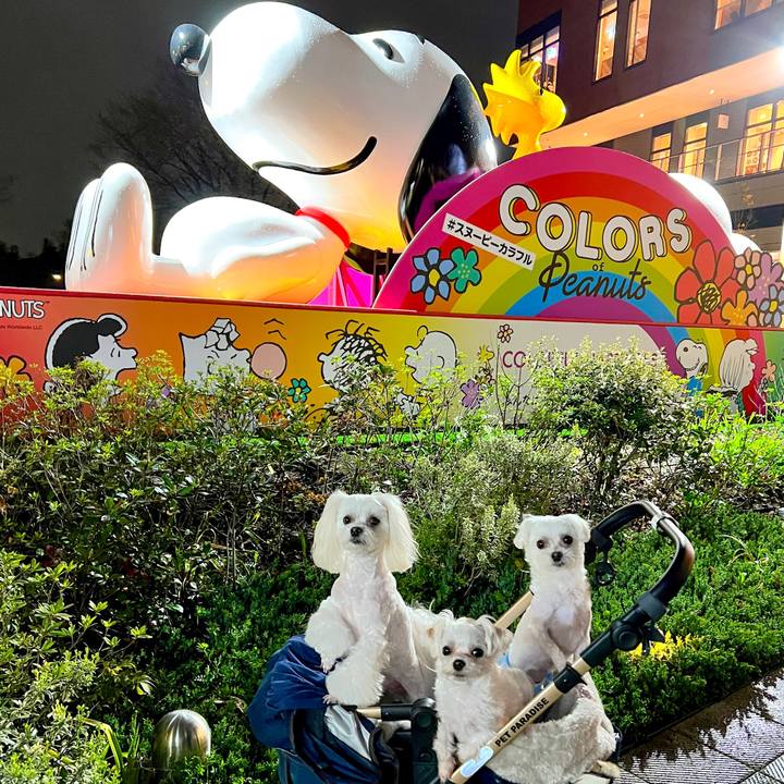 A20bb3b6 e675 4cd4 80c7 0e0d42703b6e 1679743739544