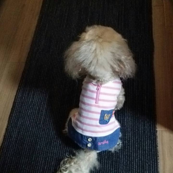 A20bb594 8317 4b4e 8b27 f06055219986 1536150546890