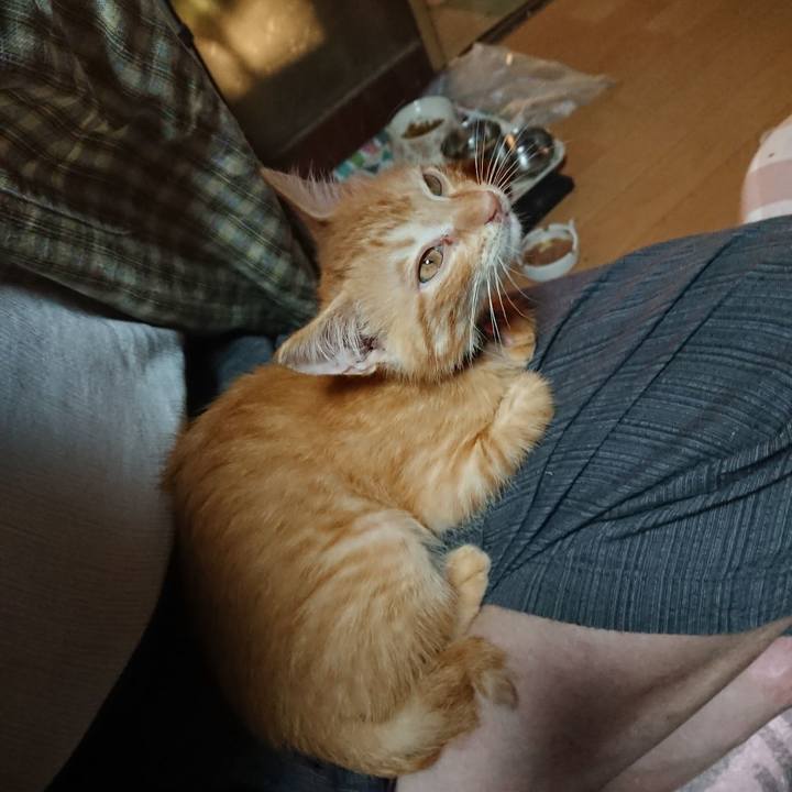 A20bbde5 e6d6 460f 92f7 da7bad6c40eb 1630183634604