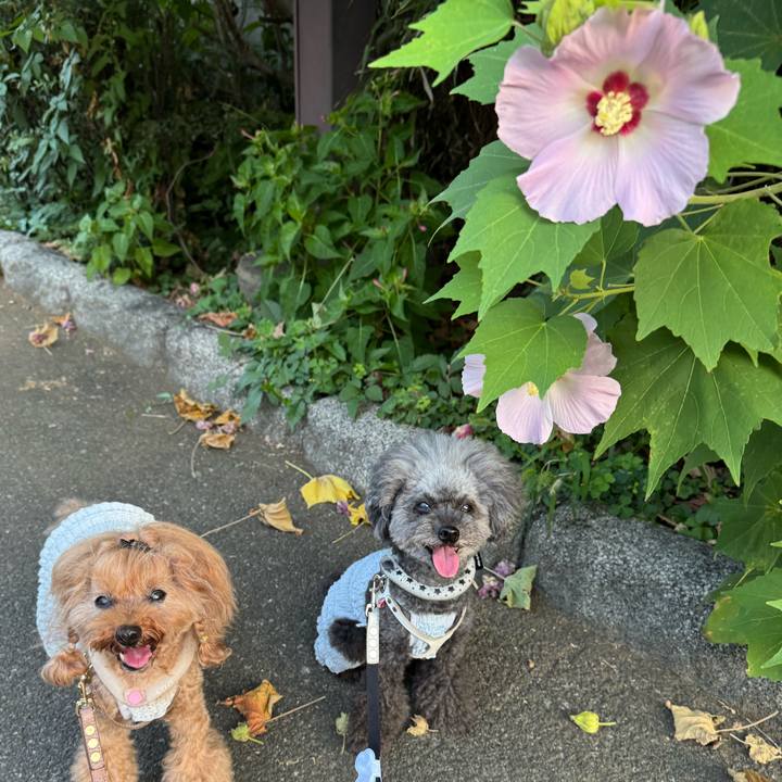 A20c19ea cd08 4a0c 8ef5 69cd9db02fb1 1755645184113